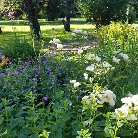 Ferme De Charme Avec Jardin Et Cheminee A - Fr-1-489-374 Gouise