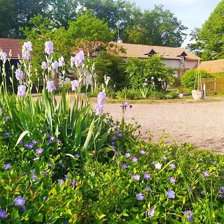 Ferme De Charme Avec Jardin Et Cheminee A - Fr-1-489-374 Lantställe