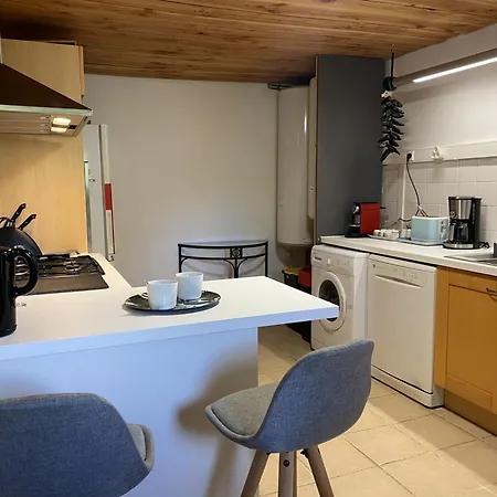 Ferme De Charme Avec Jardin Et Cheminée à - Fr-1-489-374 Casa vacanze Gouise